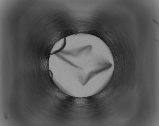 X0000093100336200710171206