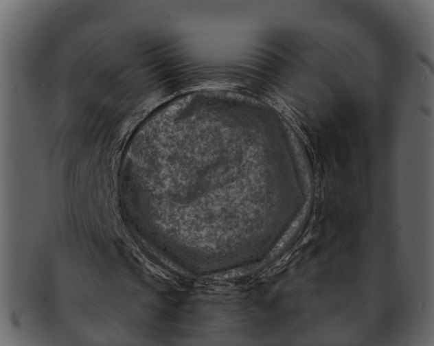 X0000093100337200710171205