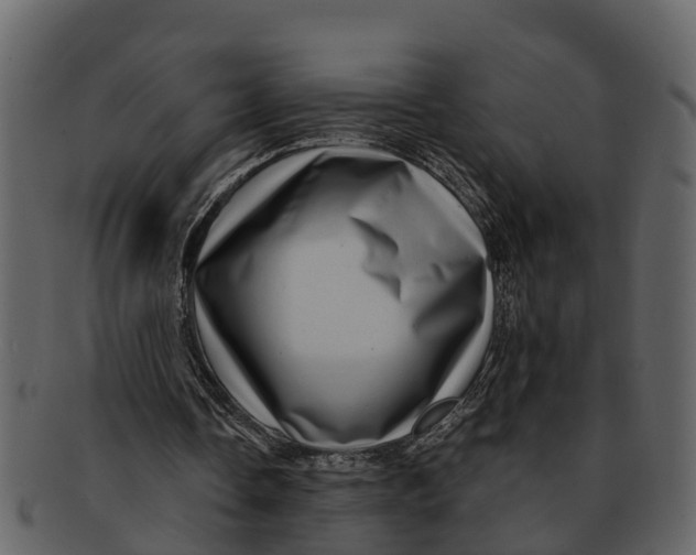 X0000093100338200710171205