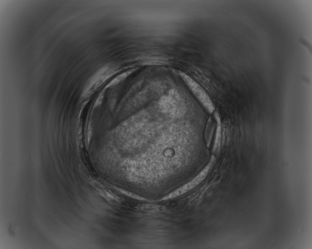 X0000093100339200710171205