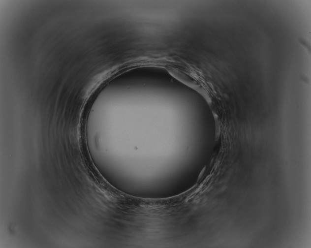 X0000093100340200710171206