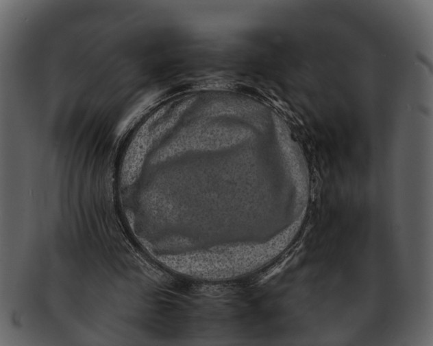 X0000093100341200710171206
