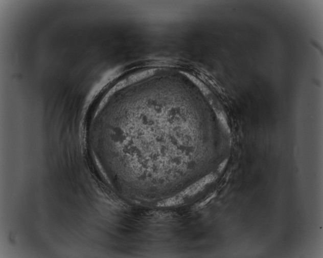 X0000093100343200710171206