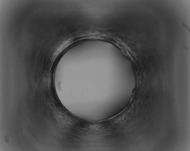 X0000093100344200710171206