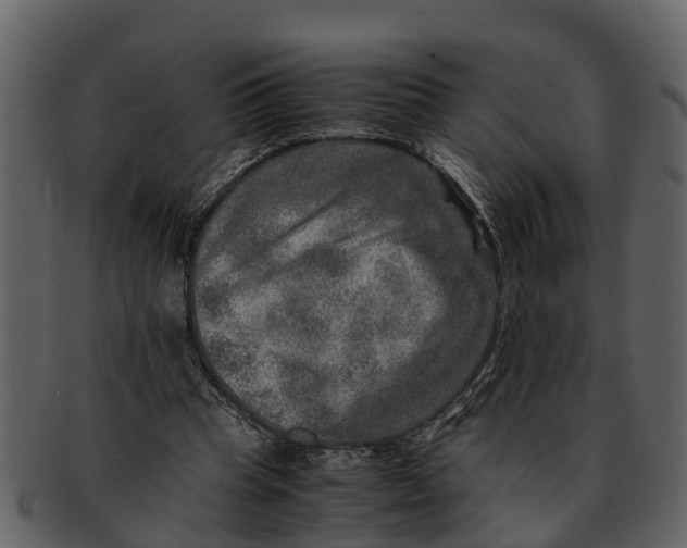 X0000093100345200710171206