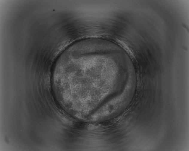 X0000093100346200710171206
