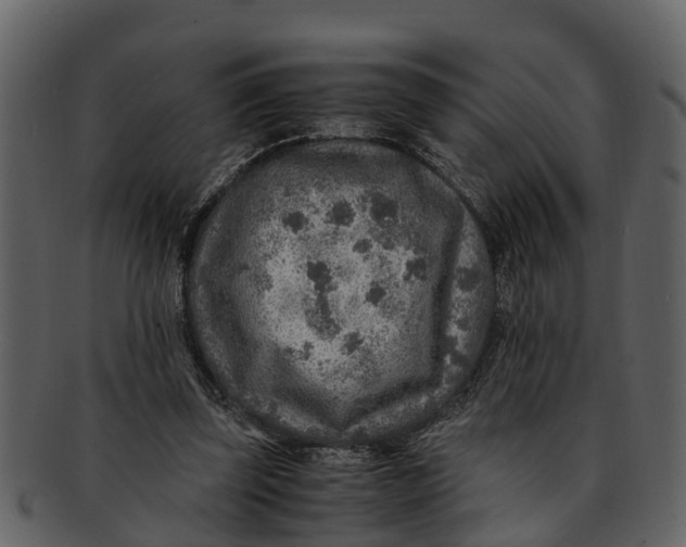 X0000093100347200710171206