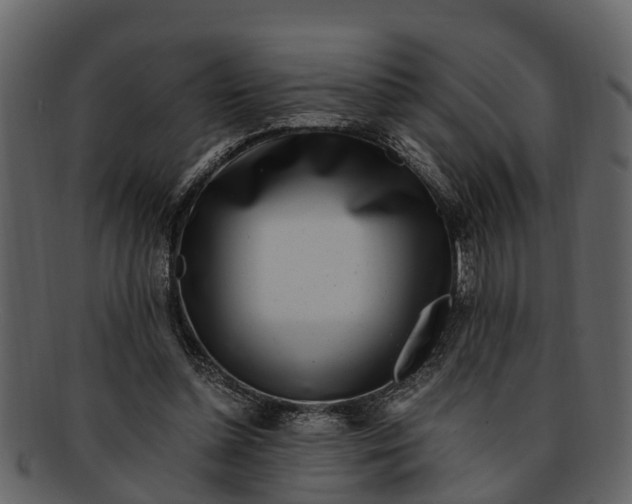 X0000093100348200710171206