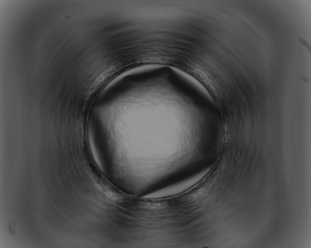 X0000093100349200710171206