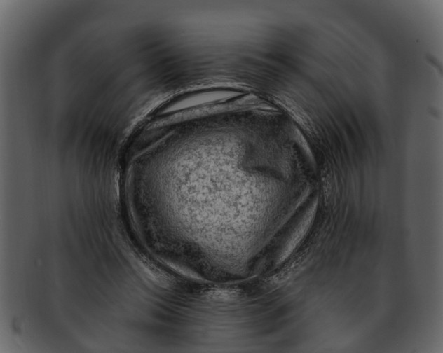 X0000093100350200710171206