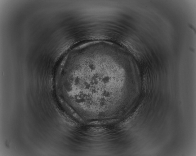X0000093100351200710171206