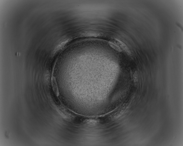 X0000093100352200710171206