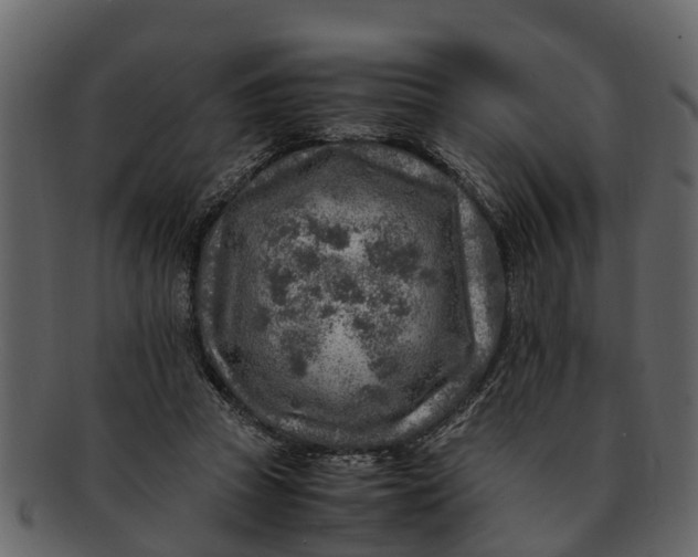 X0000093100353200710171206