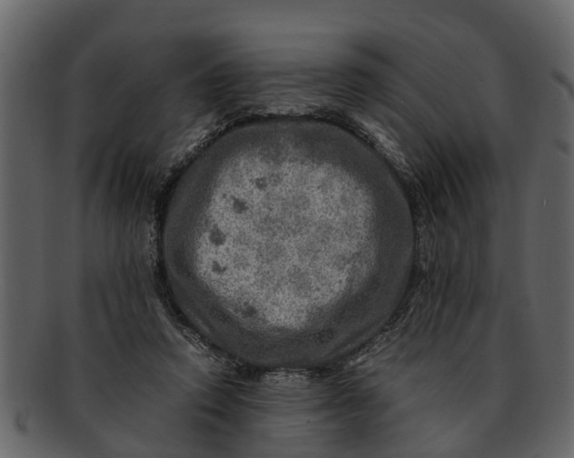 X0000093100354200710171206