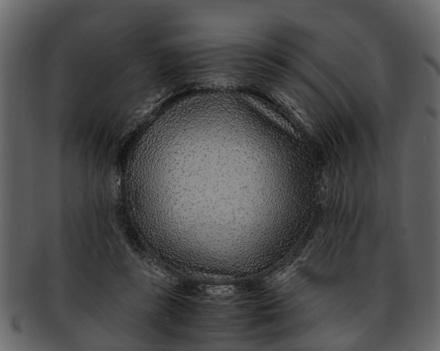 X0000093100355200710171206