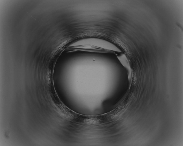 X0000093100356200710171206