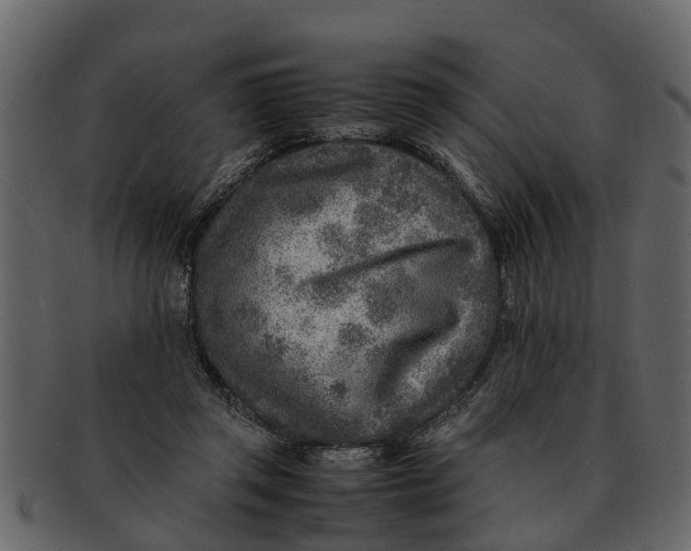 X0000093100357200710171206