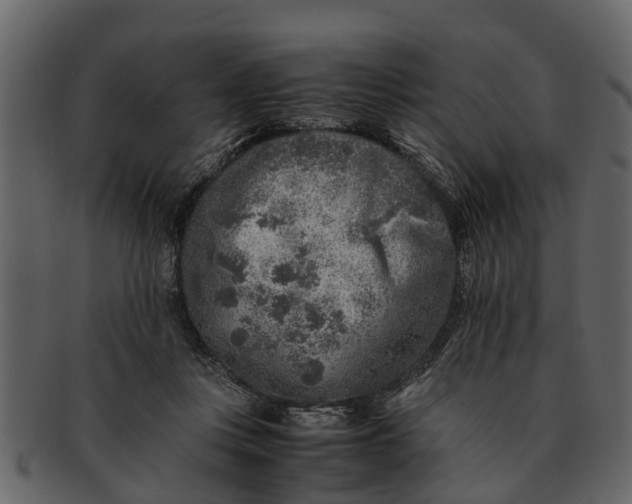 X0000093100359200710171206