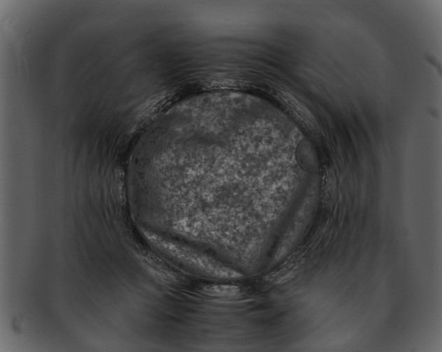 X0000093100361200710171206