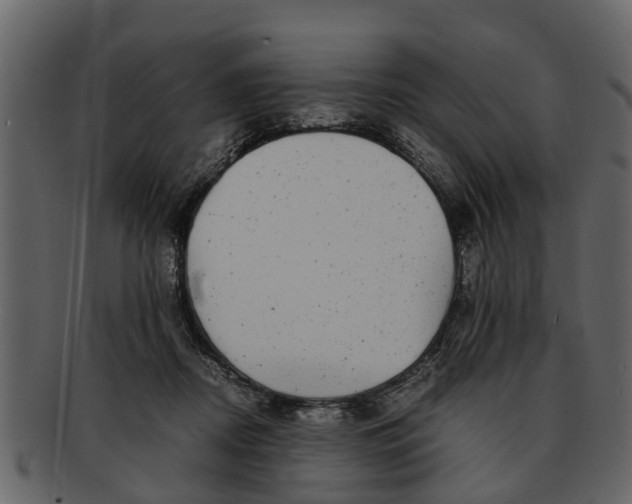 X0000093100362200710171206