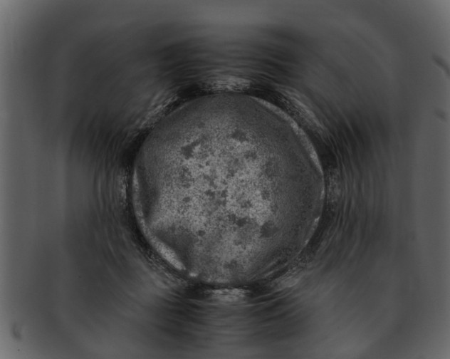 X0000093100363200710171206