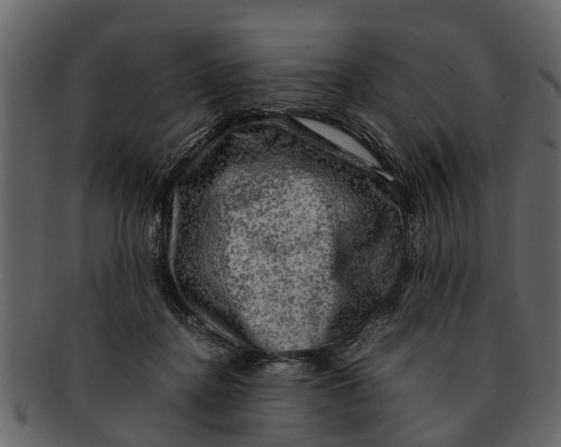 X0000093100364200710171206