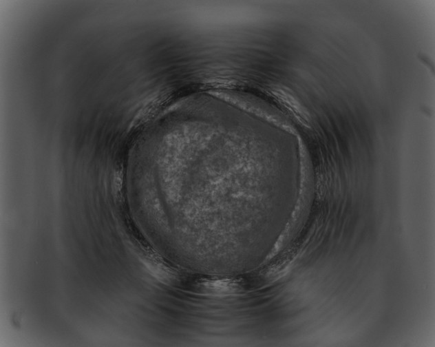 X0000093100365200710171206