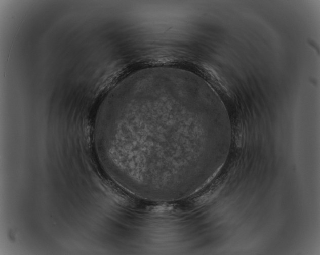 X0000093100366200710171206