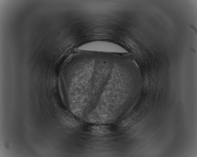 X0000093100367200710171206