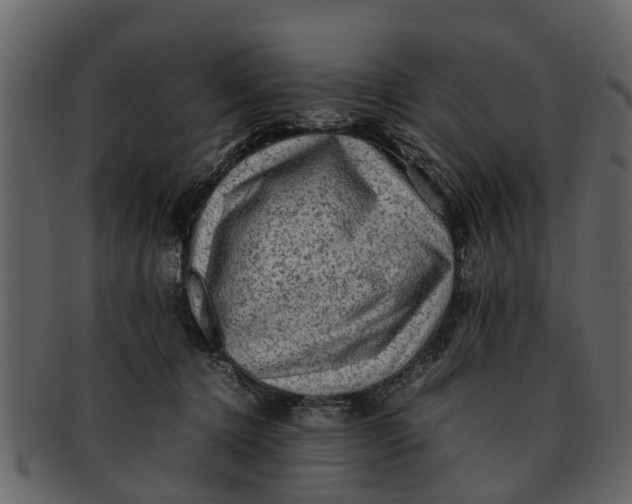 X0000093100368200710171206