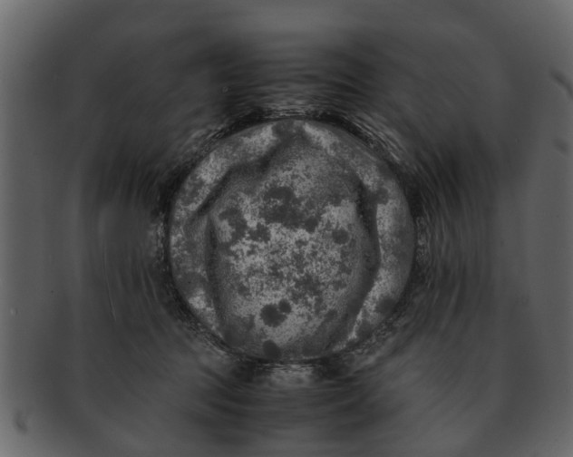 X0000093100369200710171206