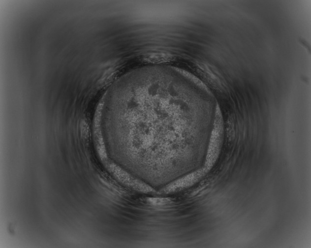X0000093100371200710171206