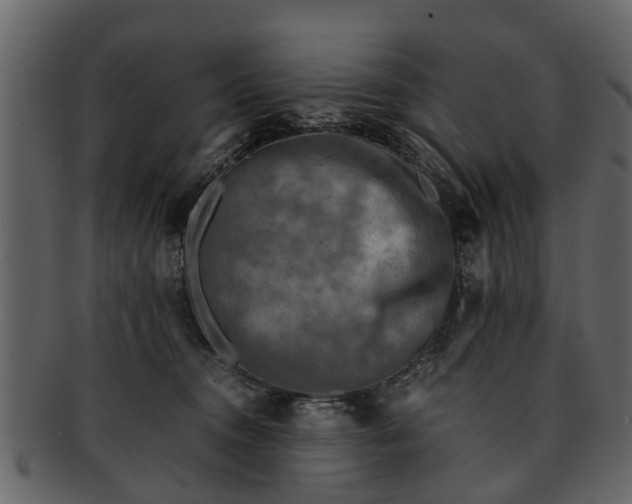 X0000093100372200710171206