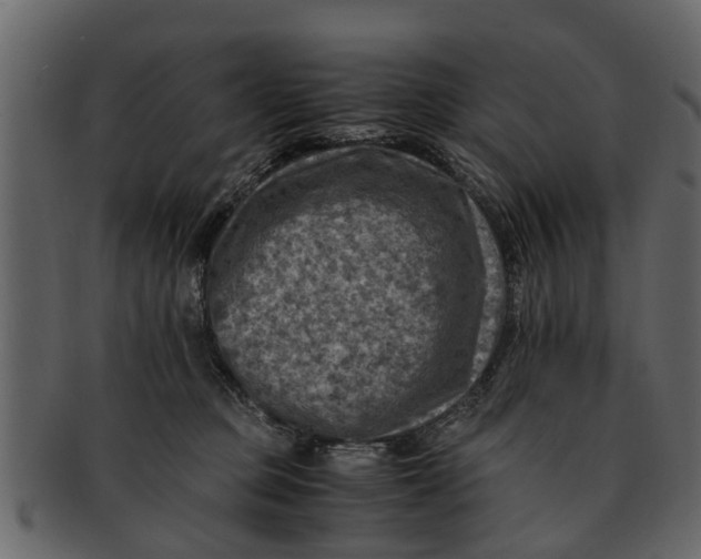 X0000093100373200710171206