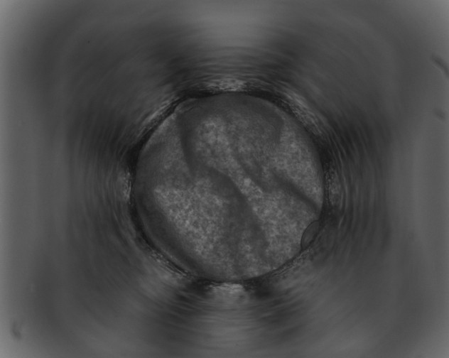 X0000093100374200710171206