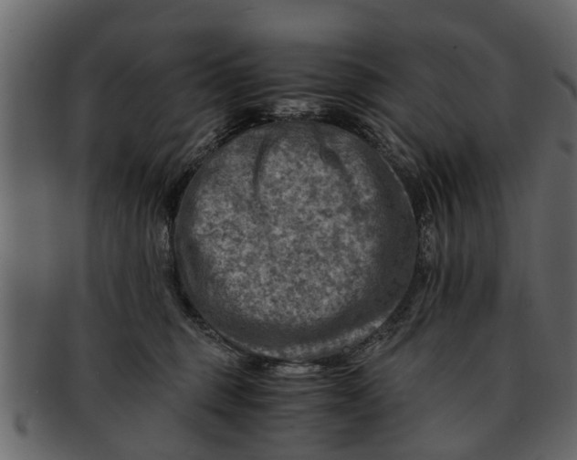X0000093100375200710171206