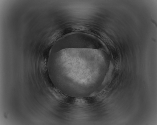 X0000093100376200710171206