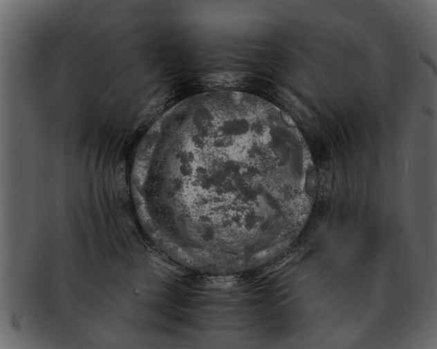 X0000093100377200710171206