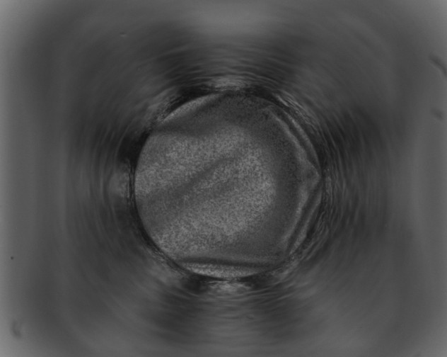 X0000093100379200710171206
