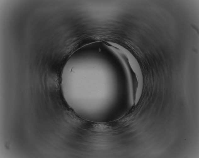 X0000093100380200710171206