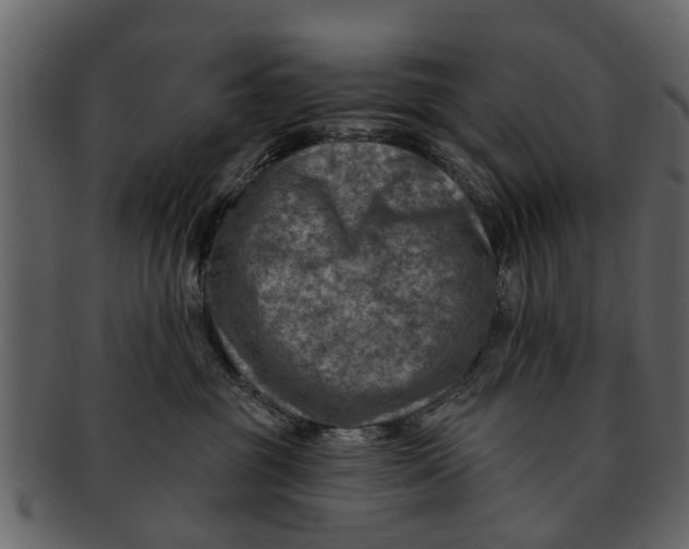 X0000093100381200710171206