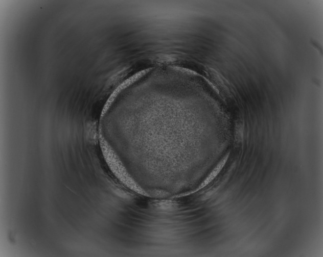 X0000093100383200710171206