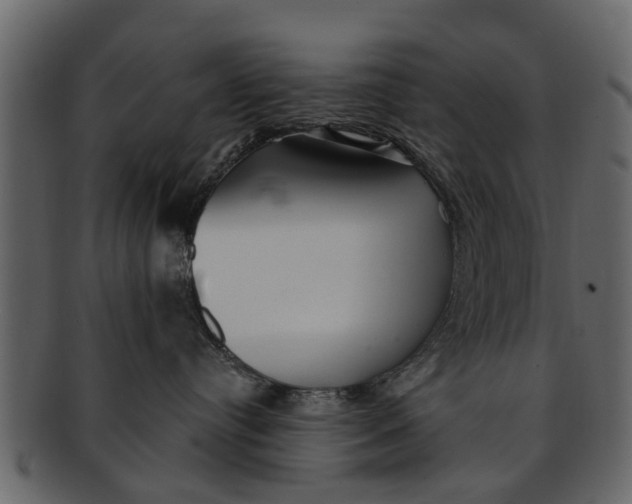 X0000093100384200710171206