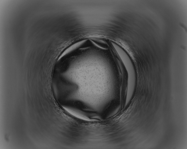 X0000093100385200710171205
