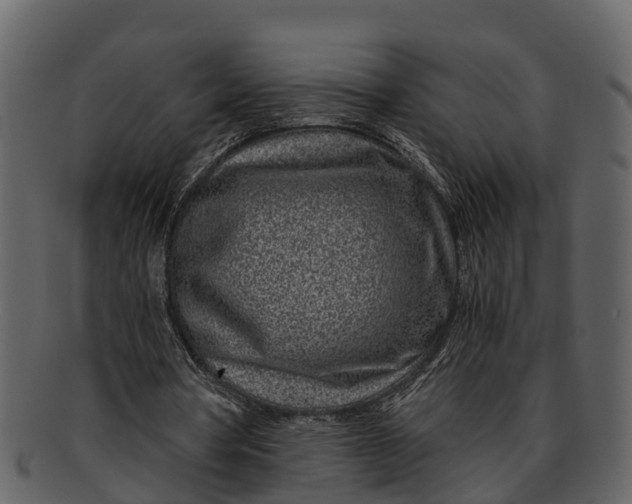 X0000093100386200710171205
