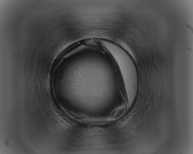 X0000093100387200710171205