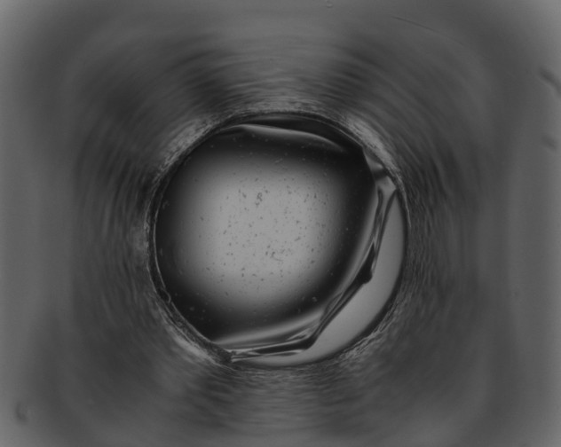 X0000093100389200710171205