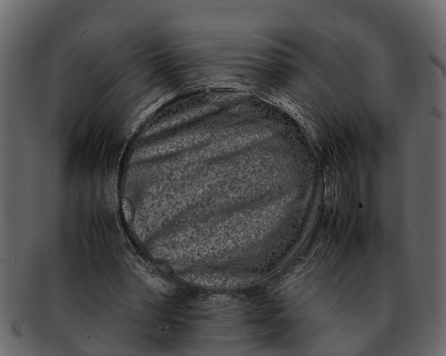 X0000093100390200710171205