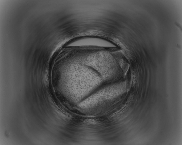 X0000093100392200710171205
