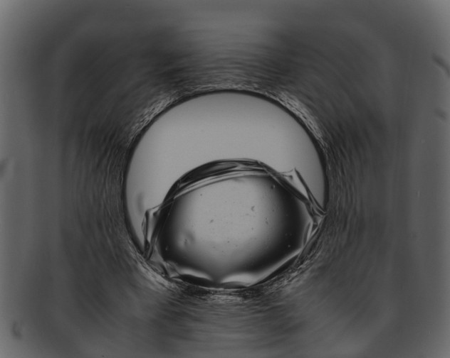 X0000093100393200710171205